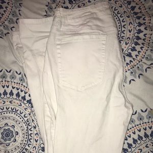 White Bullhead Pants